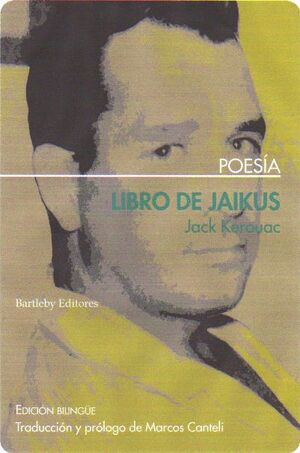 LIBRO DE JAIKUS - POESIA